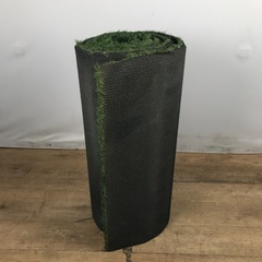 1013 人工芝 100×495 ①