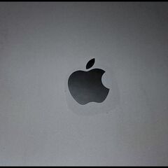 デモ機 iPad 第9世代 64GB Wi-Fiモデル スペースグレイ 3K2K3J/A A2602の画像