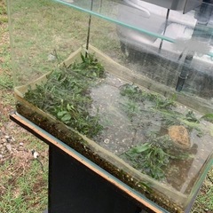 水槽　　棚付きの画像