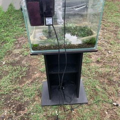 水槽　　棚付きの画像