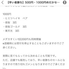 【早い者勝ち】500円・1000円めだかセット販売！の画像