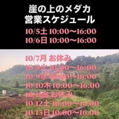 【早い者勝ち】500円・1000円めだかセット販売！の画像