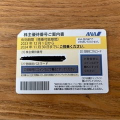 全日空　ANA株主優待券　【2024/11/30期限】