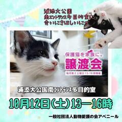 10月12日アベニール譲渡会