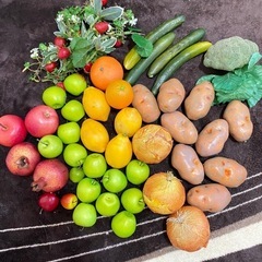 本物そっくりの野菜とフルーツセット