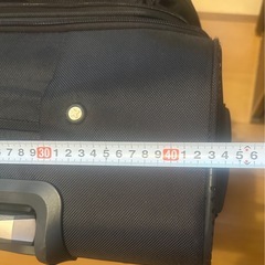 大きいキャリーバックの画像