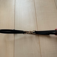 ベルト　mysty woman