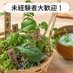 福岡県糸島市泊で七草の植え付け作業のお仕事！【単発/短期求人】