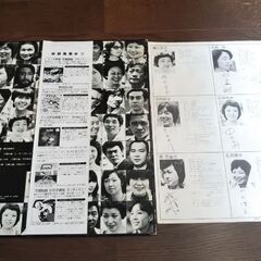 声優フェスティバル レコードの画像