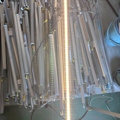 LEDライトサイズいろいろ400円〜の画像