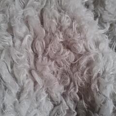 レディース アウターの画像