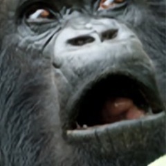 日曜日もお仕事あるので　休みだけバイト、毎日🆗の画像