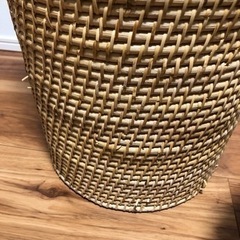 生活雑貨 家庭用品 ガーデニングの画像