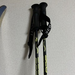 中古ショートスキー　Rossignol POW AIR X123 ツインセミファット フランス製の画像