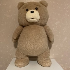 （決まりました）　TED ぬいぐるみ