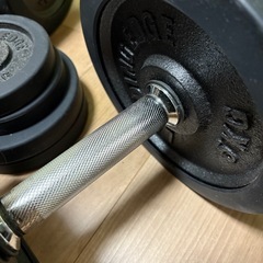 リーディングエッジ　ダンベル３０ｋｇ×2の画像