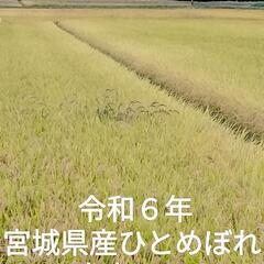 令和６年
宮城県産ひとめぼれ 中米30kg