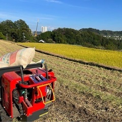 令和6年新米 広島県産  無農薬  ヒノヒカリ 玄米 30キロの画像