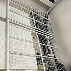 ベッドフレーム(ダブルサイズ)