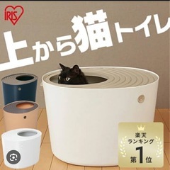 猫トイレ
