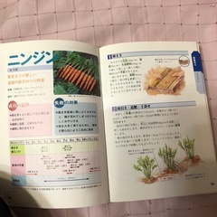 実用書の画像