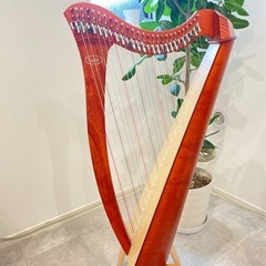 ハープ・マリンバ音楽教室　ことことの画像