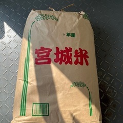 2袋以上で値下げ有　令和6年　新米　ひとめぼれ　