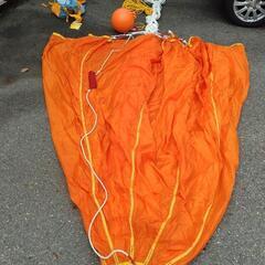 シーアンカーの画像