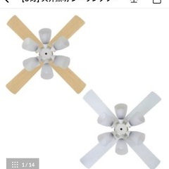 シーリングファンライト