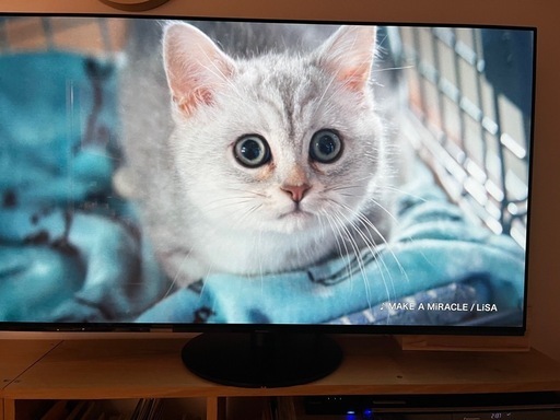 パナソニック　ビエラ55型　4K 有機EL