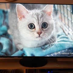 パナソニック　ビエラ55型　4K 有機EL