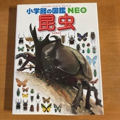 小学館の図鑑NEO　昆虫図鑑