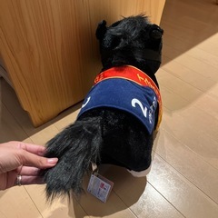 イクイノックスのぬいぐるみの画像