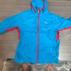 レディースダウンジャケット とNIKEウインドウブレーカー
の画像