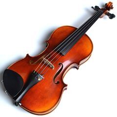 バイオリンを学びたい