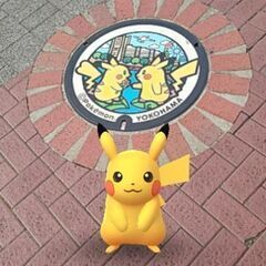 ポケモンGO友達募集！