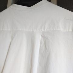 服/ファッション シャツ メンズの画像