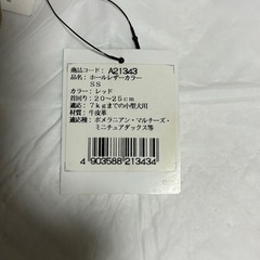 小型犬SSリードと首輪、未使用の画像