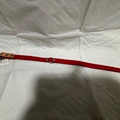 小型犬SSリードと首輪、未使用の画像