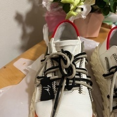 Giuseppe Zanotti 靴の画像