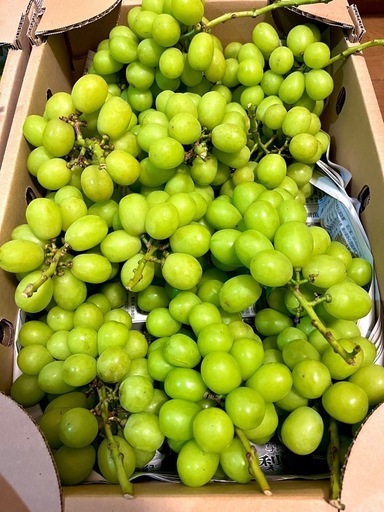 山梨県 勝沼産 シャインマスカット 5K 残り1箱 9%山梨県勝沼産シャイン