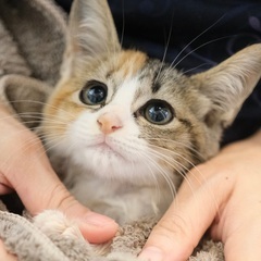 玉響♡家族ができました