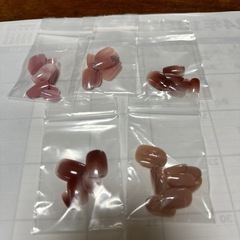 ダイソー　ネイルチップ＆シール他