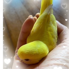 自分らしく生きませんか？