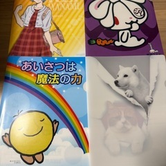 クリアファイル 色々の画像