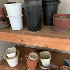 取引中　植木鉢多数　の画像