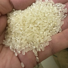 令和６年度　　ヒノヒカリ　10キロ　4800円
