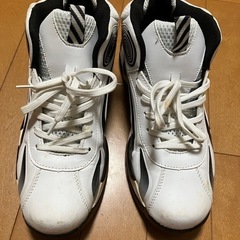 スニーカー 27cmの画像