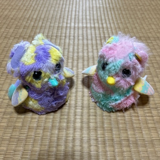 生まれてウーモ×2
