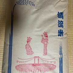 ✨くまさんの輝き✨数に限りあり❗️